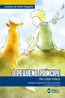 6° ANO - PARADIDATICO - PEQUENO PRINCIPE